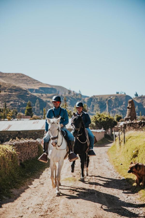 Tradicion Colca Hotel Yanque Ngoại thất bức ảnh